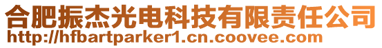 合肥振杰光電科技有限責任公司