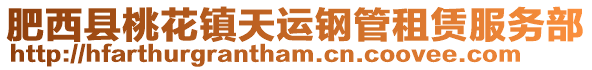 肥西縣桃花鎮(zhèn)天運(yùn)鋼管租賃服務(wù)部