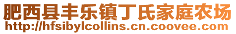 肥西縣豐樂鎮(zhèn)丁氏家庭農(nóng)場(chǎng)