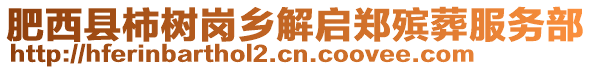 肥西縣柿樹崗鄉(xiāng)解啟鄭殯葬服務部