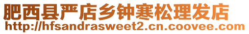 肥西縣嚴店鄉鐘寒松理發店