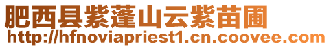 肥西縣紫蓬山云紫苗圃