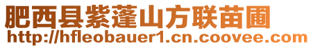 肥西縣紫蓬山方聯(lián)苗圃