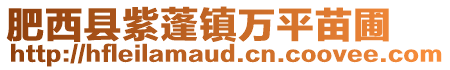 肥西縣紫蓬鎮萬平苗圃