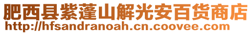 肥西縣紫蓬山解光安百貨商店