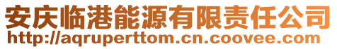 安慶臨港能源有限責任公司