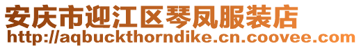 安慶市迎江區(qū)琴鳳服裝店