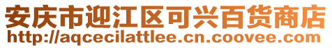 安慶市迎江區可興百貨商店