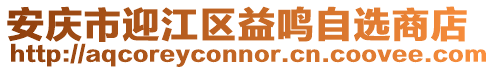 安慶市迎江區益鳴自選商店