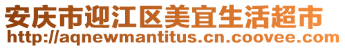 安慶市迎江區(qū)美宜生活超市