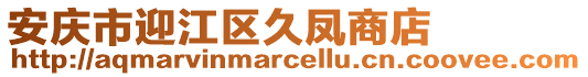安慶市迎江區(qū)久鳳商店
