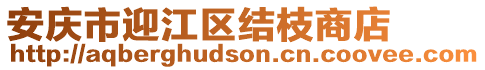 安庆市迎江区结枝商店