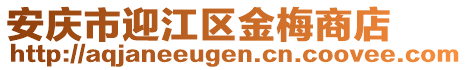 安庆市迎江区金梅商店