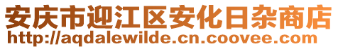 安慶市迎江區(qū)安化日雜商店