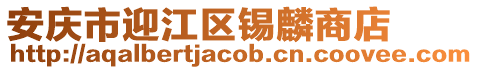 安庆市迎江区锡麟商店