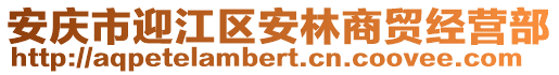安慶市迎江區安林商貿經營部
