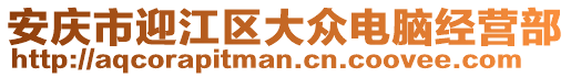 安庆市迎江区大众电脑经营部