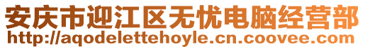 安慶市迎江區無憂電腦經營部