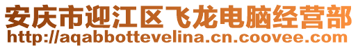 安慶市迎江區(qū)飛龍電腦經(jīng)營部