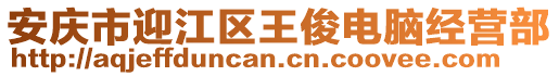 安庆市迎江区王俊电脑经营部