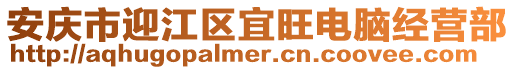 安慶市迎江區(qū)宜旺電腦經(jīng)營(yíng)部