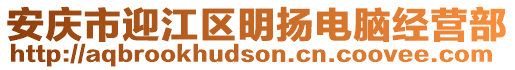 安慶市迎江區(qū)明揚(yáng)電腦經(jīng)營(yíng)部