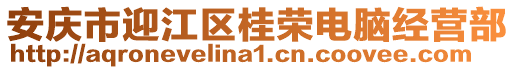 安庆市迎江区桂荣电脑经营部