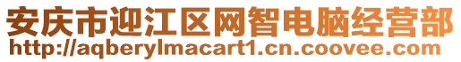 安慶市迎江區(qū)網(wǎng)智電腦經(jīng)營(yíng)部