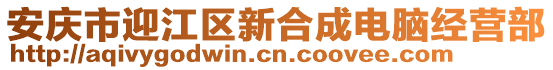 安慶市迎江區新合成電腦經營部