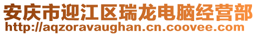 安慶市迎江區瑞龍電腦經營部