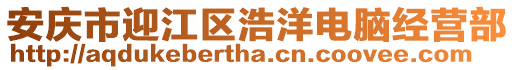 安慶市迎江區浩洋電腦經營部