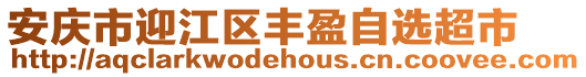 安慶市迎江區豐盈自選超市