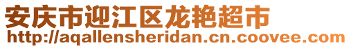 安庆市迎江区龙艳超市