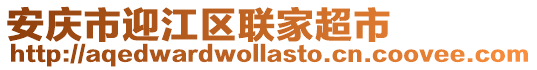 安慶市迎江區聯家超市