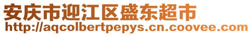 安慶市迎江區盛東超市