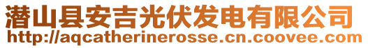潛山縣安吉光伏發電有限公司