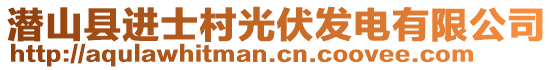 潛山縣進士村光伏發(fā)電有限公司