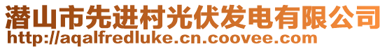 潛山市先進(jìn)村光伏發(fā)電有限公司