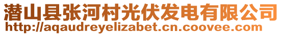 潛山縣張河村光伏發(fā)電有限公司