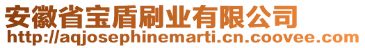 安徽省寶盾刷業(yè)有限公司