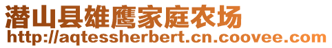 潛山縣雄鷹家庭農(nóng)場