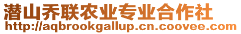 潛山喬聯(lián)農(nóng)業(yè)專業(yè)合作社