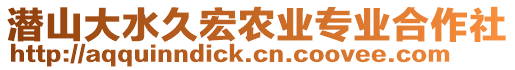 潛山大水久宏農(nóng)業(yè)專業(yè)合作社