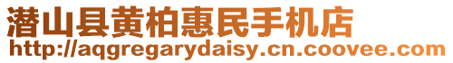 潛山縣黃柏惠民手機店