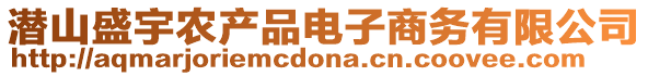 潛山盛宇農(nóng)產(chǎn)品電子商務(wù)有限公司