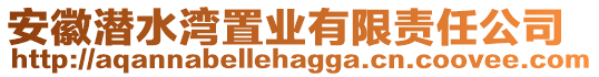 安徽潛水灣置業(yè)有限責(zé)任公司