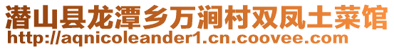 潛山縣龍?zhí)多l(xiāng)萬澗村雙鳳土菜館