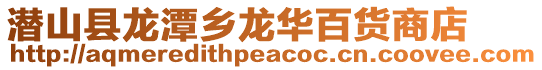 潛山縣龍潭鄉龍華百貨商店