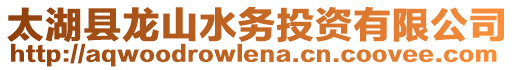 太湖縣龍山水務投資有限公司