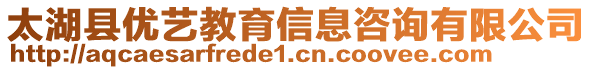 太湖縣優(yōu)藝教育信息咨詢有限公司